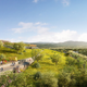 Illustration for article titled Cupertino May Replace Its Dead Mall With the Biggest Green Roof Ever Built